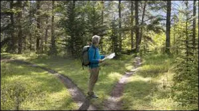 On verra bien si je me [...] en chemin.