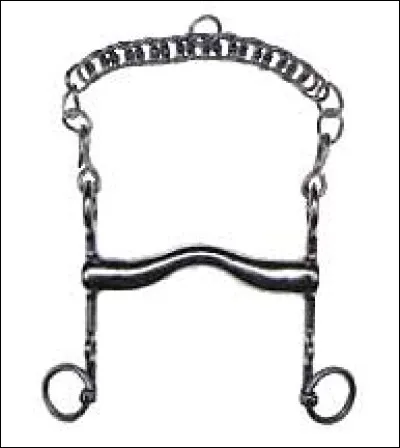 Comment se nomme le mors ci-dessus ?