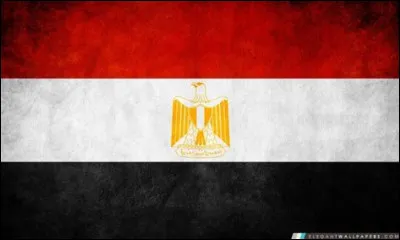 &Agrave; quel pays appartient ce drapeau ?