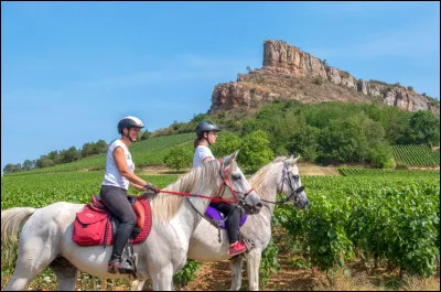 Julie est au pas à main droite, Louise évolue également au pas mais à main gauche, qui a la priorité ?