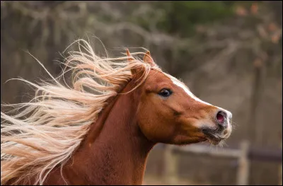 À l'issue d'un doubler :