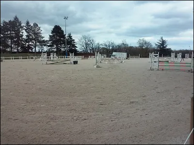 Quelles sont les 3 disciplines les plus pratiquées en compétition en France ?