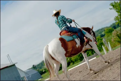 Les championnats de France sont :