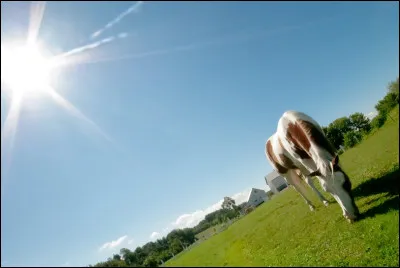 Quelle est l'affirmation exacte ?