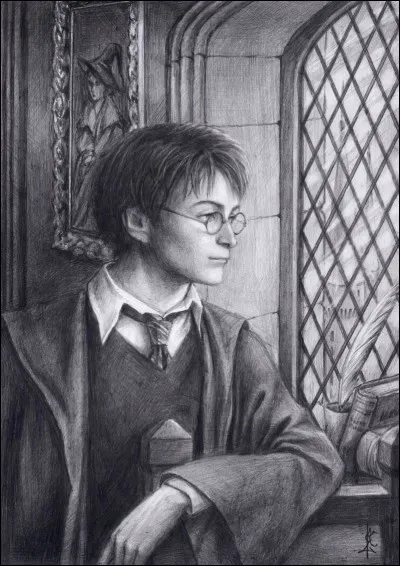 Sortilège de Désarmement - Dans quel film ou tome Harry ne se sert-il pas de ce sort ?