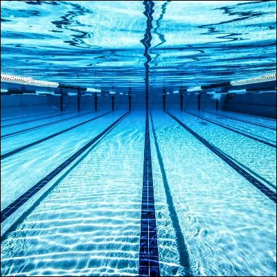 Quelle nageuse, sp&eacute;cialiste du dos, est la premi&egrave;re femme porte-drapeau de la d&eacute;l&eacute;gation olympique fran&ccedil;aise ?