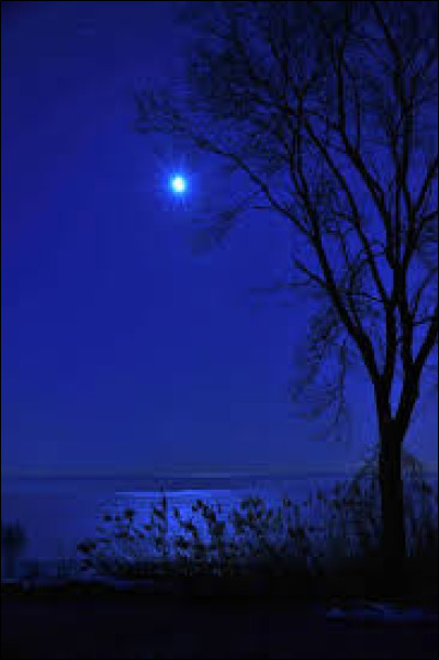 Quelle est cette couleur en anglais ?