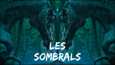 Je vois les Sombrals .