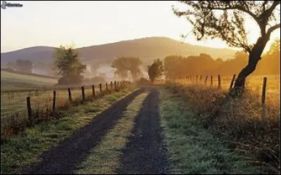 Où doit-on circuler avec un cheval à l'extérieur ?