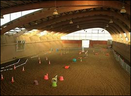 Quiz Galop 3