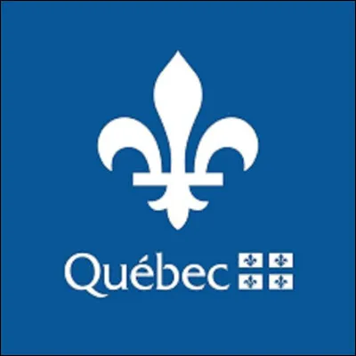 Quelle expression emploie-t-on au Québec pour qualifier une personne qui se préoccupe de questions théoriques et qui n'a aucun sens pratique ?