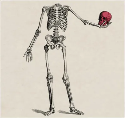 Quel chanteur a composé la chanson : "Bones" ?