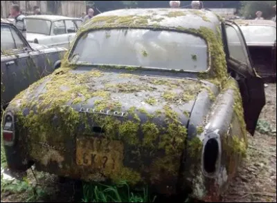 "Pierre qui roule n'amasse pas mousse". Ben là, en loccurrence, il y a un bout de temps qu'elle ne roule plus, cette vieille...