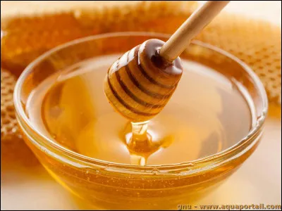 Dans quelle langue "miel" se dit-il "honey" ?