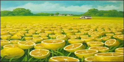 Z/. Lequel des deux est amer ?