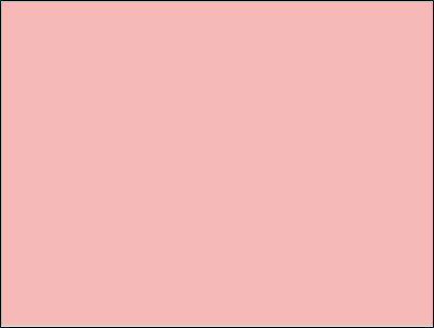 Quelle image représente un chat ?