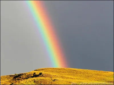 Quelles couleurs peut-on voir le plus dans un arc-en-ciel ?