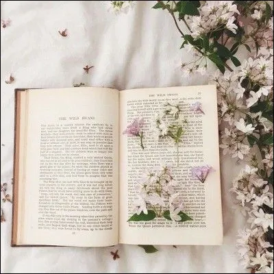 Brigitte Giraud : quel livre lui rapporte le prix Goncourt en 2022 ?