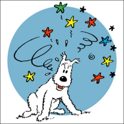 Comment s'appelle ce petit animal de compagnie ?