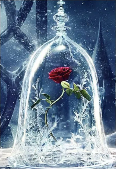 La personne que vous aimez vous annonce toute heureuse qu�elle vient de trouver l�amour de sa vie, pas de chance ce n�est pas vous !