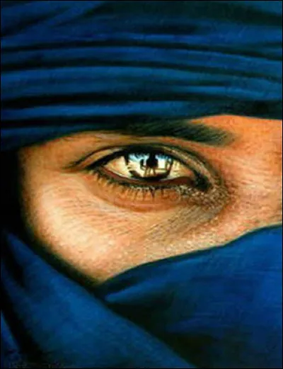 Quel peuple nomade appelle-t-on "les hommes bleus" ?