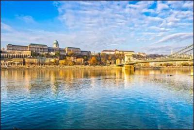 A quel compositeur doit-on "Le Beau Danube bleu" ?