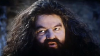 Qu'offre Hagrid à Harry pour son anniversaire ?