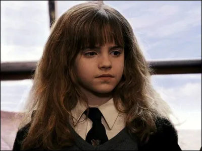 Comment Hermione rencontre-t-elle Ron et Harry ?