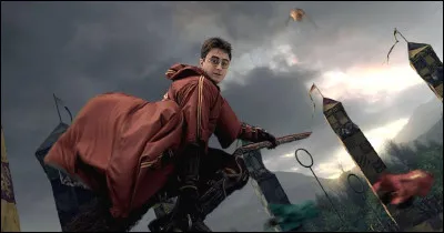 Qui est l'animateur des matchs de Quidditch ?