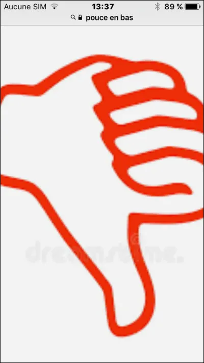 Quel est ton plus gros défaut ?