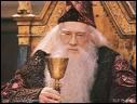 Qui a tu Albus Dumbledore ? ( ici en photo )