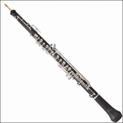 Quel est cet instrument ?