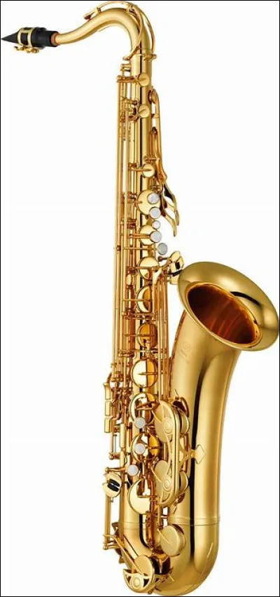 Quel est cet instrument ?