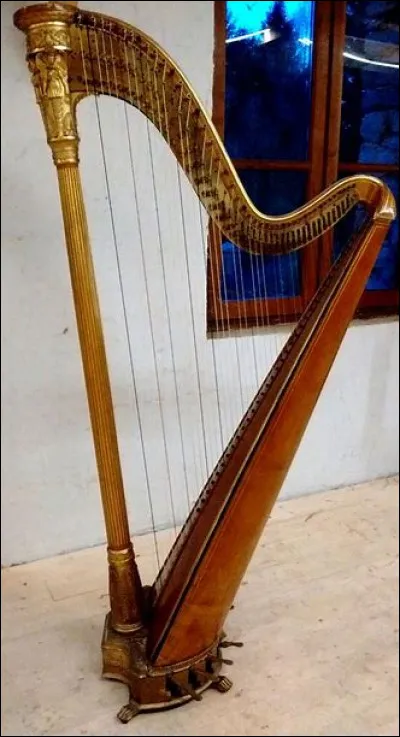 Quel est cet instrument ?