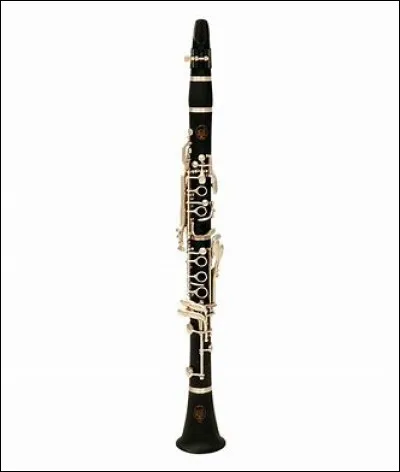 Quel est cet instrument ?