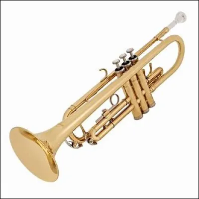 Quel est cet instrument ?