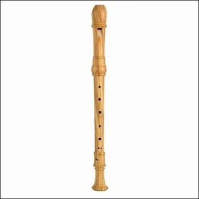 Quel est cet instrument ?