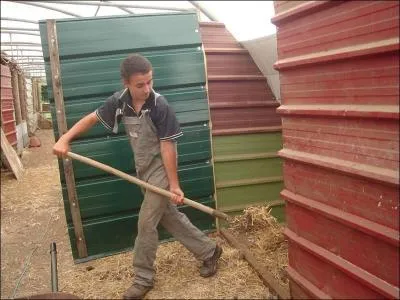  quelle frquence faut-il nettoyer le box de ton cheval ?