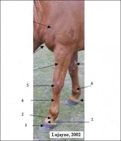 Les numros correspondent  :