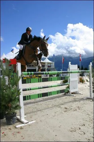 Comment s'appelle cet obstacle ?