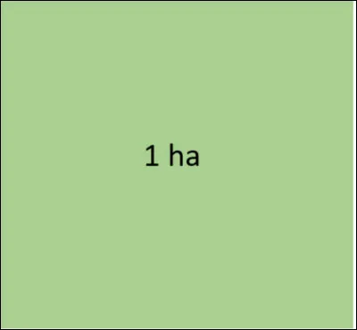 Un hectare c'est 10 000 m2.