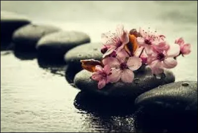 Quel jeu pr&eacute;f&egrave;res-tu ?