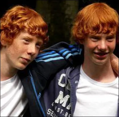 Fabian et Gideon Prewett font-ils partie de l'Ordre du phénix ?