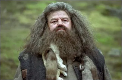 Rubeus Hagrid fait-il partie de l'Ordre du phénix ?