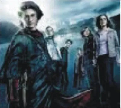 Film retraant le parcours d'un jeune sorcier et de ses amis dans la lutte contre un certain vous-savez-qui.