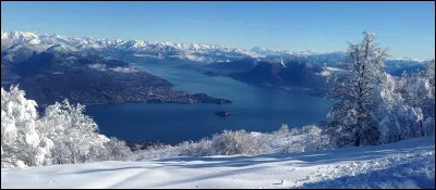 Les "anciens" connaissent tous les paroles de la chanson "Il neige sur le lac Majeur", comment sont les oiseaux-lyre ?