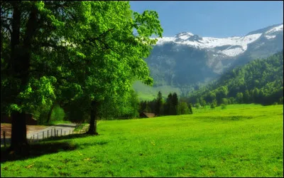Combien de fois la Suisse a-t-elle remporté le concours de l'Eurovision ?