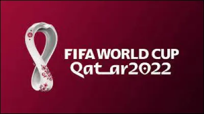 Qui vas-tu supporter au mondial 2022 ?