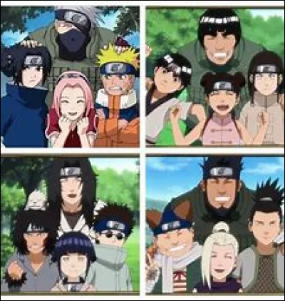 De quelle &eacute;quipe aurais-tu voulu faire partie ?