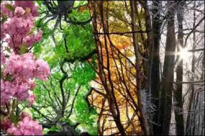 En 1992, le groupe Assassin sort la chanson "L'écologie : sauvons la planète". Quel est le style musical de ce groupe ?